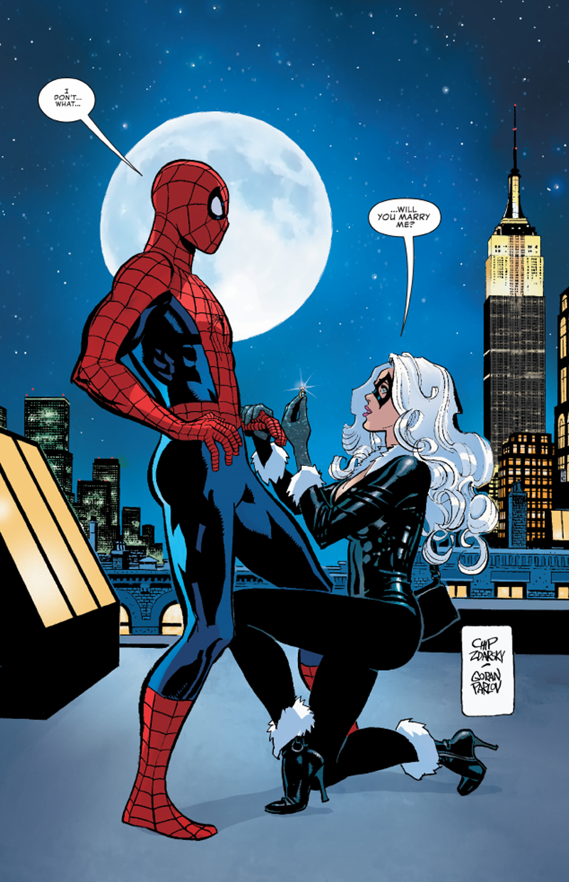 A Cat proposes to a Spider...